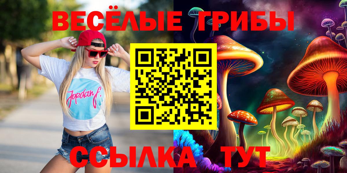 Воркута  Галлюциногенные грибы Magic Shrooms  Вход с VPN 